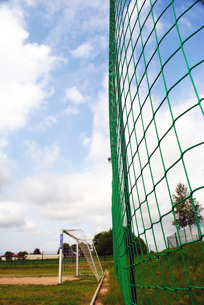 可能使得科 可能使得科