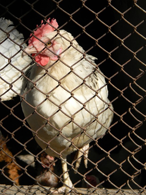 牺牲更多常 牺牲更多常