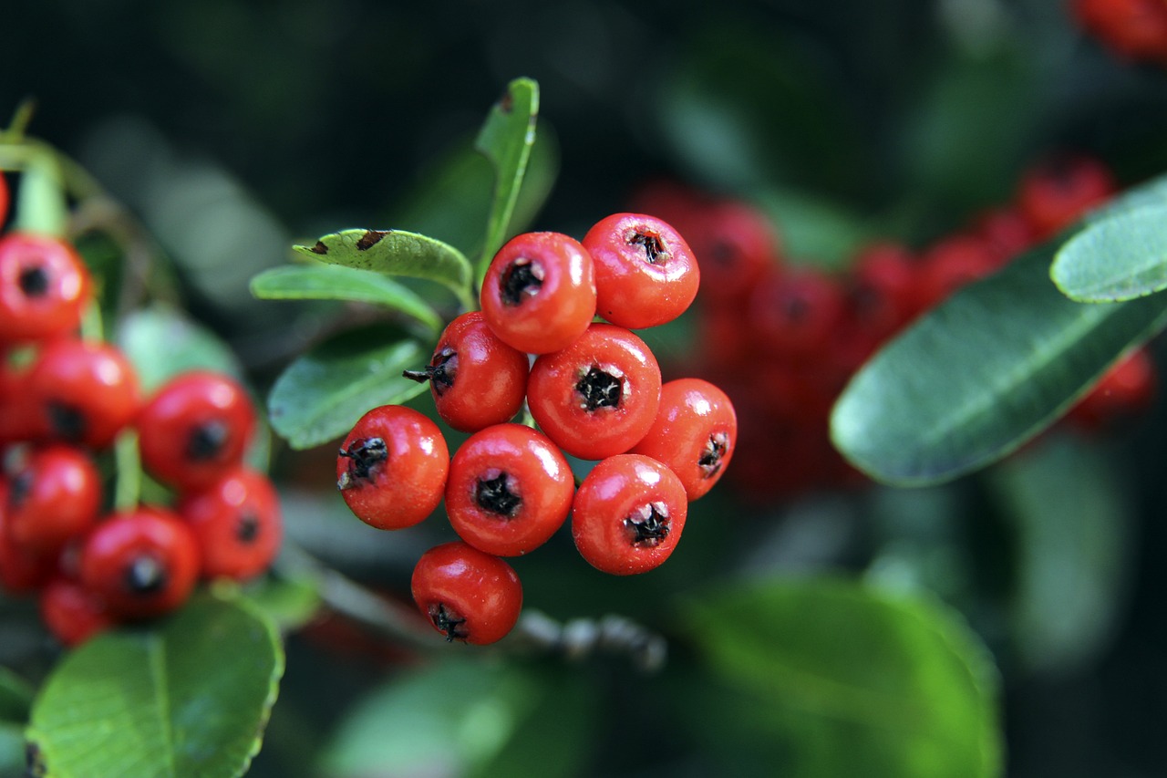 身份更显特 身份更显特