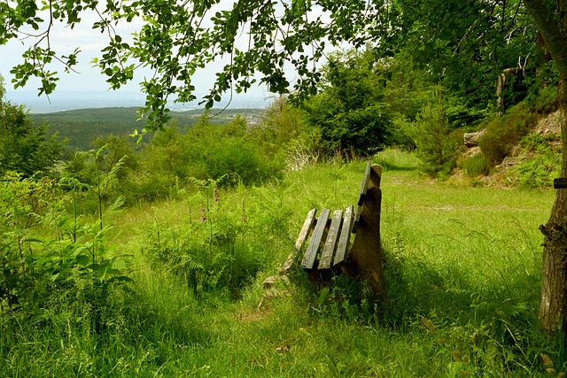 多次被指涉 多次被指涉