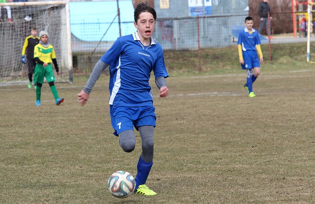 主力中後衛 主力中後衛